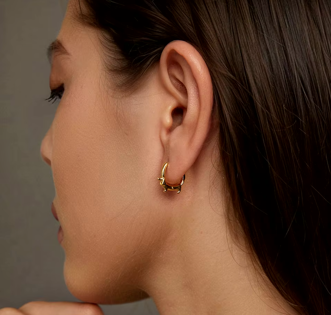 Preciosos aros de perro salchicha El tesoro de una mamá cachorra